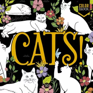 CATS: COLOR BLOCK